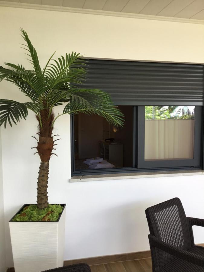Alojamento Amelie - Apartamento บรากา ภายนอก รูปภาพ